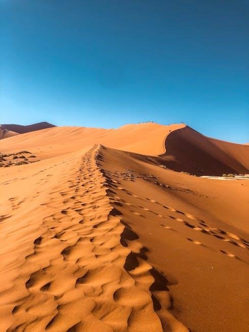 ناميبيا: دليل السفر الشامل لاستكشاف هذه الوجهة الرائعة